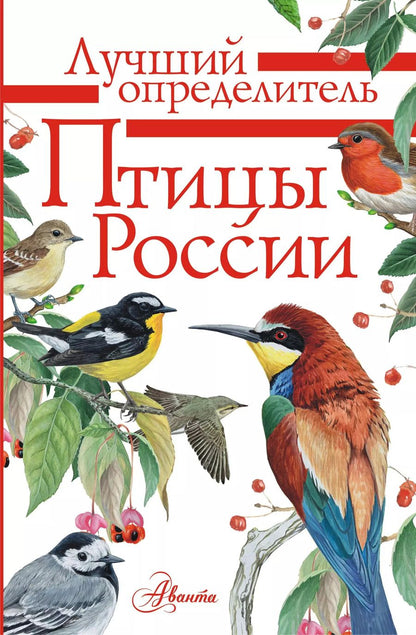 Обложка книги "Алексей Мосалов: Птицы России"