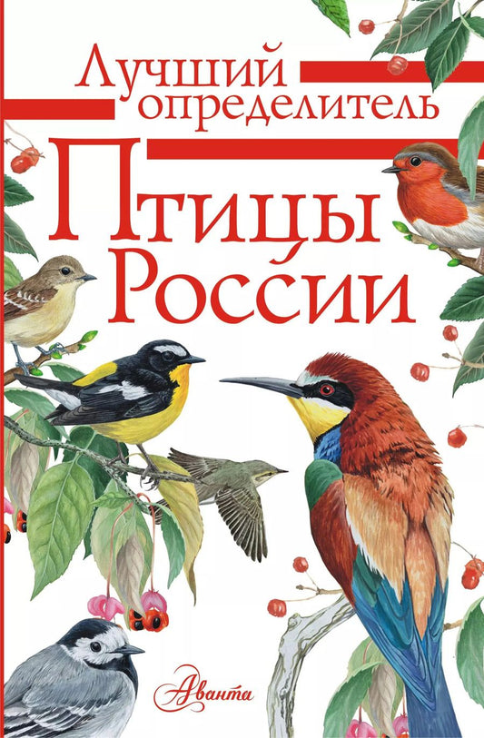 Обложка книги "Алексей Мосалов: Птицы России"