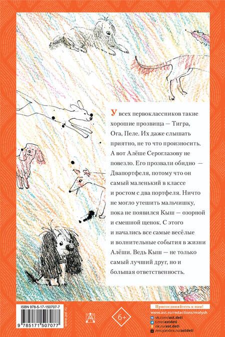 Фотография книги "Алешковский: Кыш и Двапортфеля"