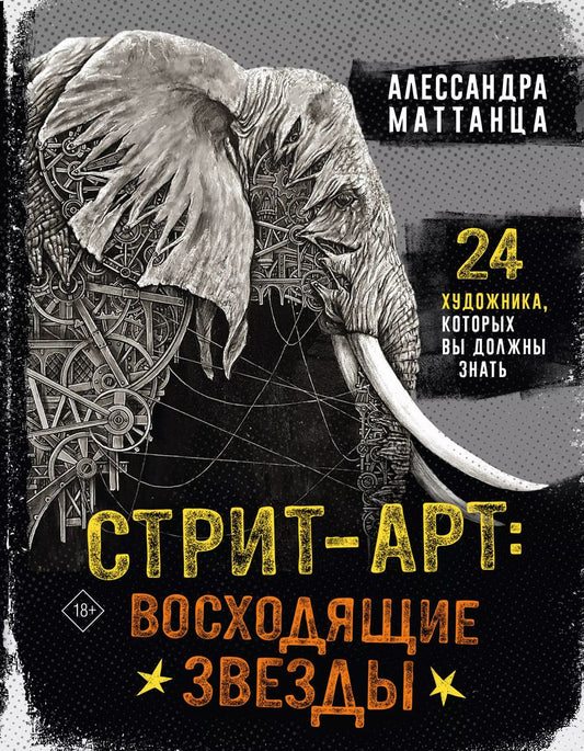 Обложка книги "Алессандра Маттанца: Стрит-арт: восходящие звезды"
