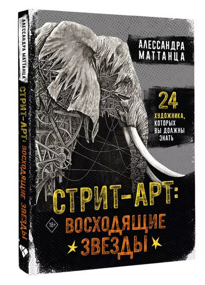 Фотография книги "Алессандра Маттанца: Стрит-арт: восходящие звезды"