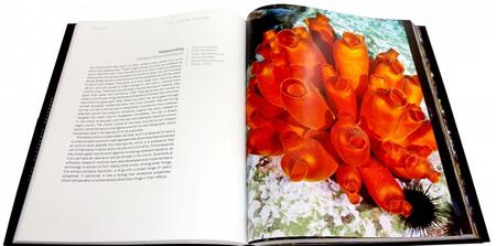 Фотография книги "Alexander Semenov: The Magical World of the Cold Seas"