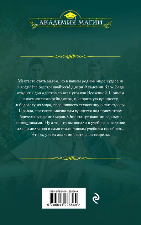 Фотография книги "Алфеева, Свилет: Академия фамильяров. Тайна руин"