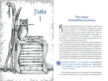 Фотография книги "Альфериан Маклир: Жезл ведьмы. Изготовление, история и магические свойства волшебных палочек"