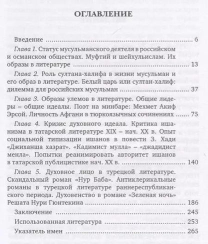 Фотография книги "Альфина Сибгатуллина: Человек на минбаре. Образ мусульманского лидера в татарской и турецкой литературах"