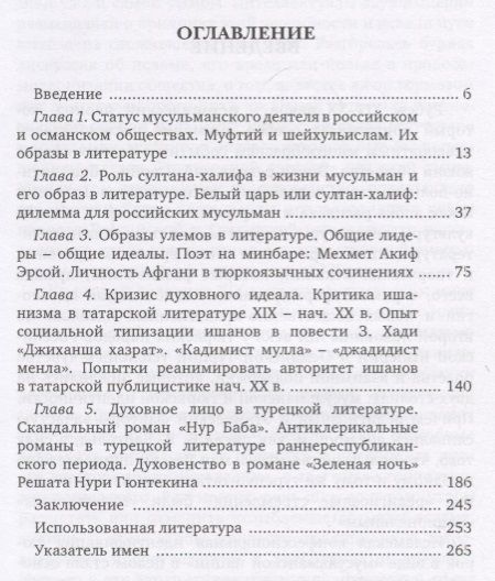 Фотография книги "Альфина Сибгатуллина: Человек на минбаре. Образ мусульманского лидера в татарской и турецкой литературах"