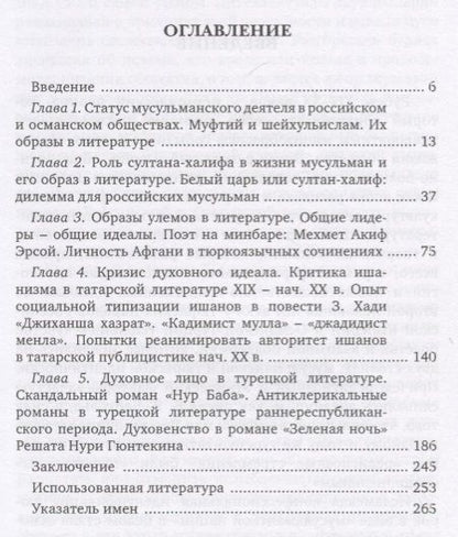 Фотография книги "Альфина Сибгатуллина: Человек на минбаре. Образ мусульманского лидера в татарской и турецкой литературах"