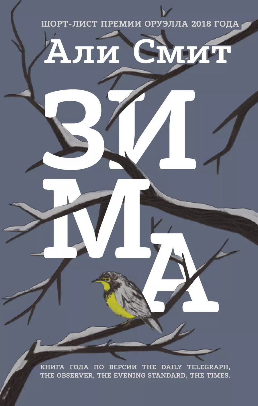 Обложка книги "Али Смит: Зима"