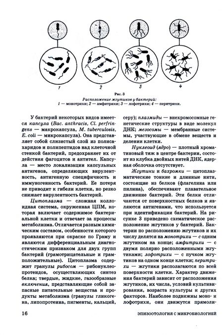 Фотография книги "Алиев, Данко, Ещенко: Эпизоотология с микробиологией"