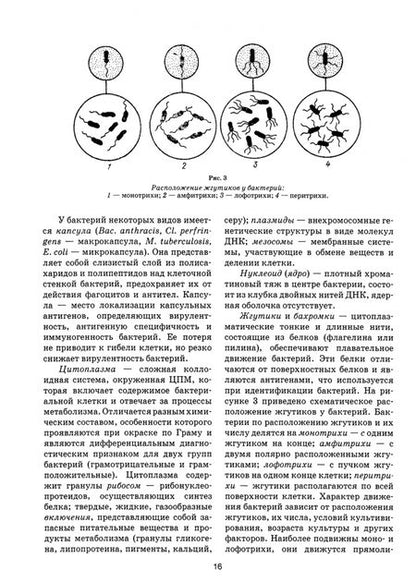 Фотография книги "Алиев, Кузьмин, Данко: Эпизоотология с основами микробиологии. Учебник. СПО"