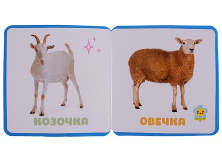 Фотография книги "Алиева: Первые слова Малышариков. Первые слова Пандочки"