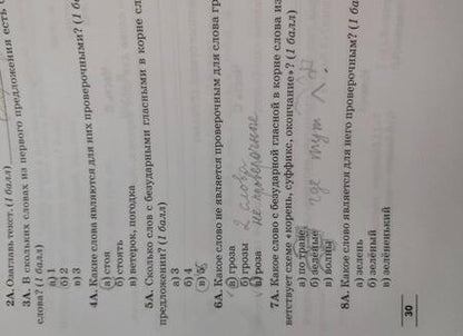 Фотография книги "Алимпиева, Векшина: Зачеты по русскому языку. 3 класс. Тестовые работы"