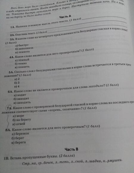 Фотография книги "Алимпиева, Векшина: Зачеты по русскому языку. 3 класс. Тестовые работы"