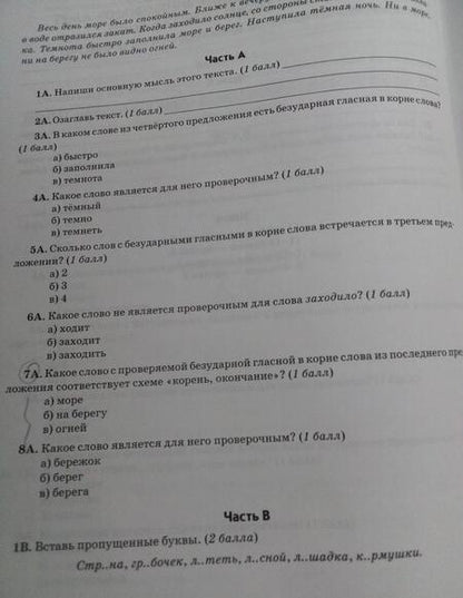 Фотография книги "Алимпиева, Векшина: Зачеты по русскому языку. 3 класс. Тестовые работы"