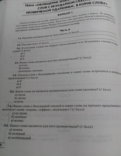 Фотография книги "Алимпиева, Векшина: Зачеты по русскому языку. 3 класс. Тестовые работы"