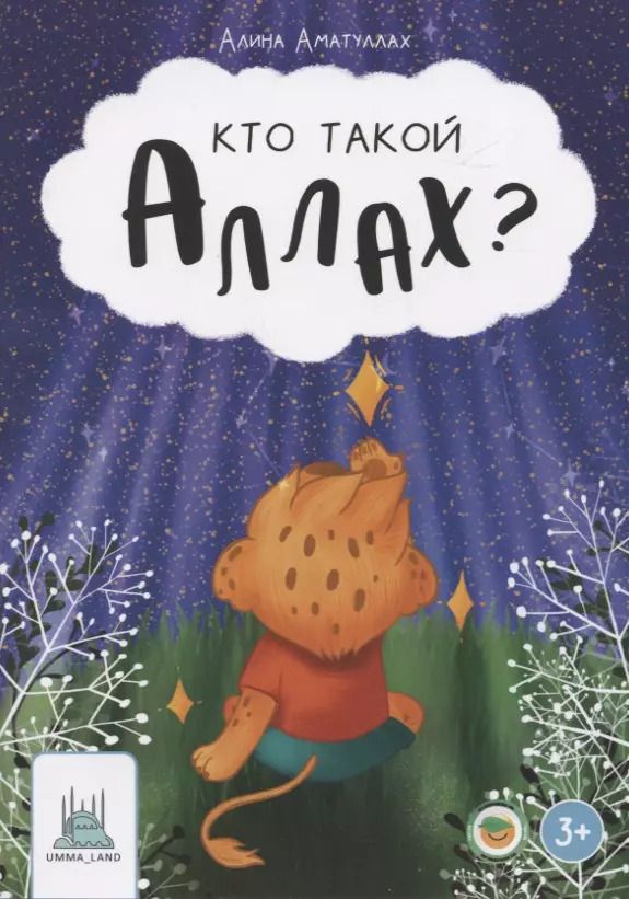 Обложка книги "Алина Аматуллах: Кто такой Аллах?"