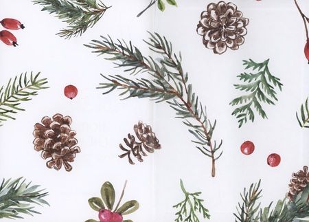 Фотография книги "Алина Кускова: Снежный поцелуй"