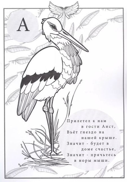 Фотография книги "Алина Тали: Птичья Азбука в стихах"