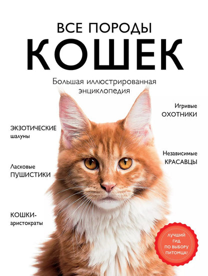Обложка книги "Алина Ярощук: Все породы кошек. Большая иллюстрированная энциклопедия"