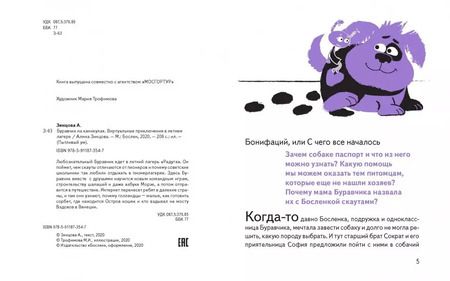 Фотография книги "Алина Зинцова: Буравчик на каникулах. Виртуальные приключения в летнем лагере"