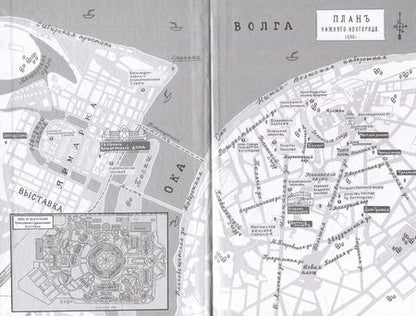 Фотография книги "Алиса Стрельцова: Шишкин корень"