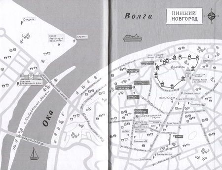 Фотография книги "Алиса Стрельцова: Шишкин корень"