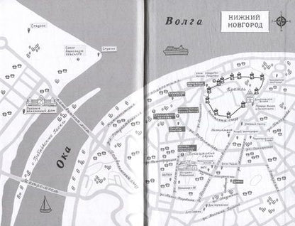 Фотография книги "Алиса Стрельцова: Шишкин корень"