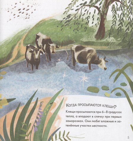 Фотография книги "Алла Мироненко: Подсказки в сказке. Чем знаменит Кусь?"