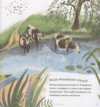 Фотография книги "Алла Мироненко: Подсказки в сказке. Чем знаменит Кусь?"