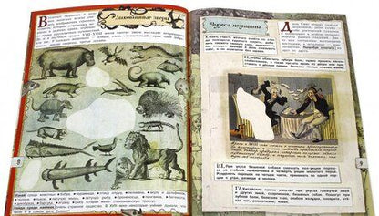 Фотография книги "Алла Солопенко: В поисках острова Сокровищ. Пираты и джентльмены"