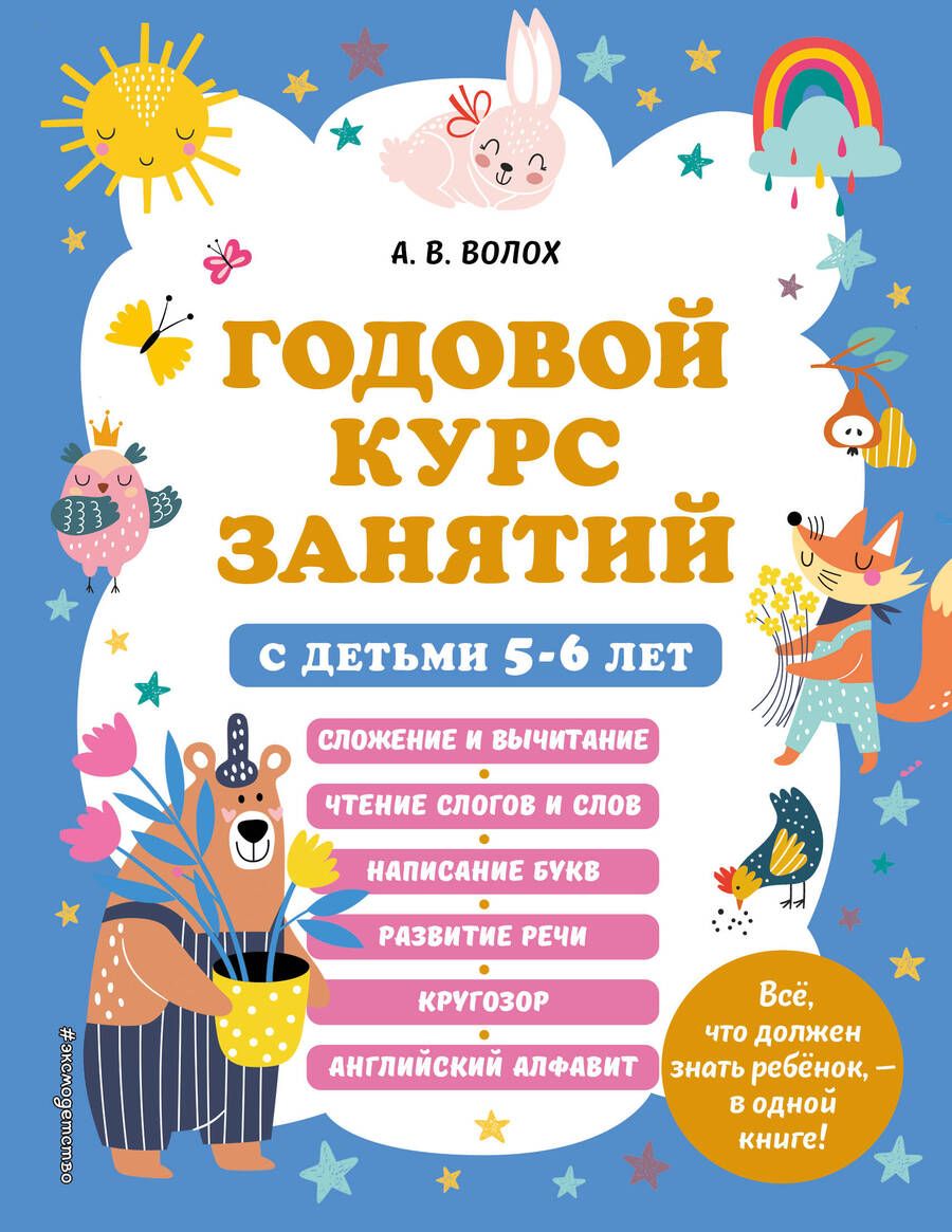 Обложка книги "Алла Волох: Годовой курс занятий с детьми 5-6 лет"