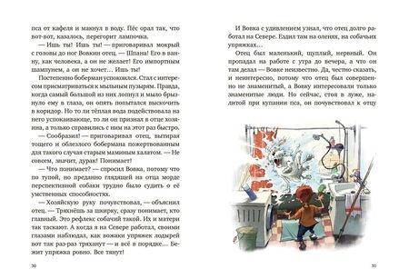 Фотография книги "Алмазов: Боберман-стюдебекер"