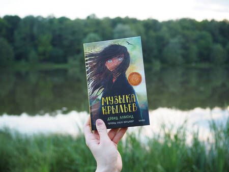 Фотография книги "Алмонд: Музыка крыльев"