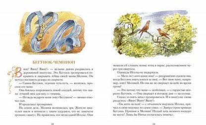 Фотография книги "Алёна Кашура: Шкатулочные истории"