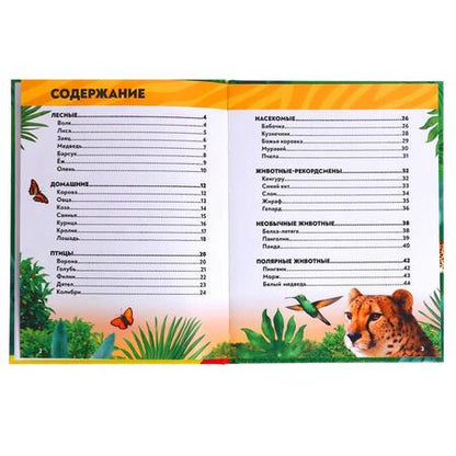 Фотография книги "Алёна Лядова: Фотоэнциклопедия для детей "В мире животных""