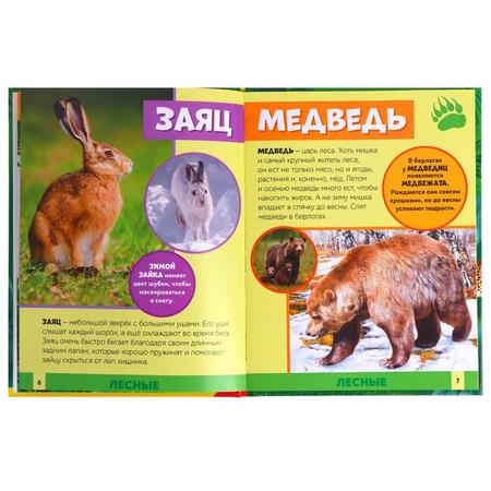 Фотография книги "Алёна Лядова: Фотоэнциклопедия для детей "В мире животных""