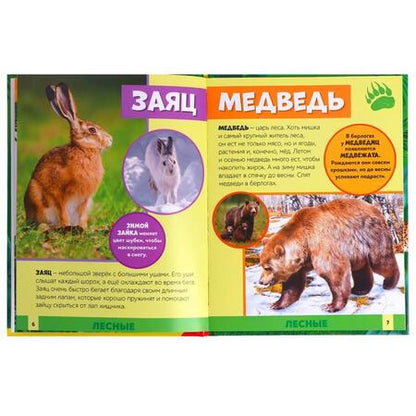 Фотография книги "Алёна Лядова: Фотоэнциклопедия для детей "В мире животных""