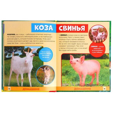 Фотография книги "Алёна Лядова: Фотоэнциклопедия для детей "В мире животных""