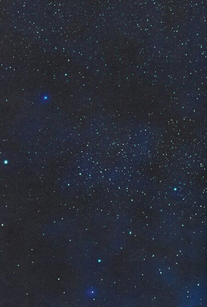 Фотография книги "Амина Асхадова: Ее нельзя"