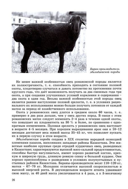 Фотография книги "Амсар Фазулзянов: Я - овцевод"