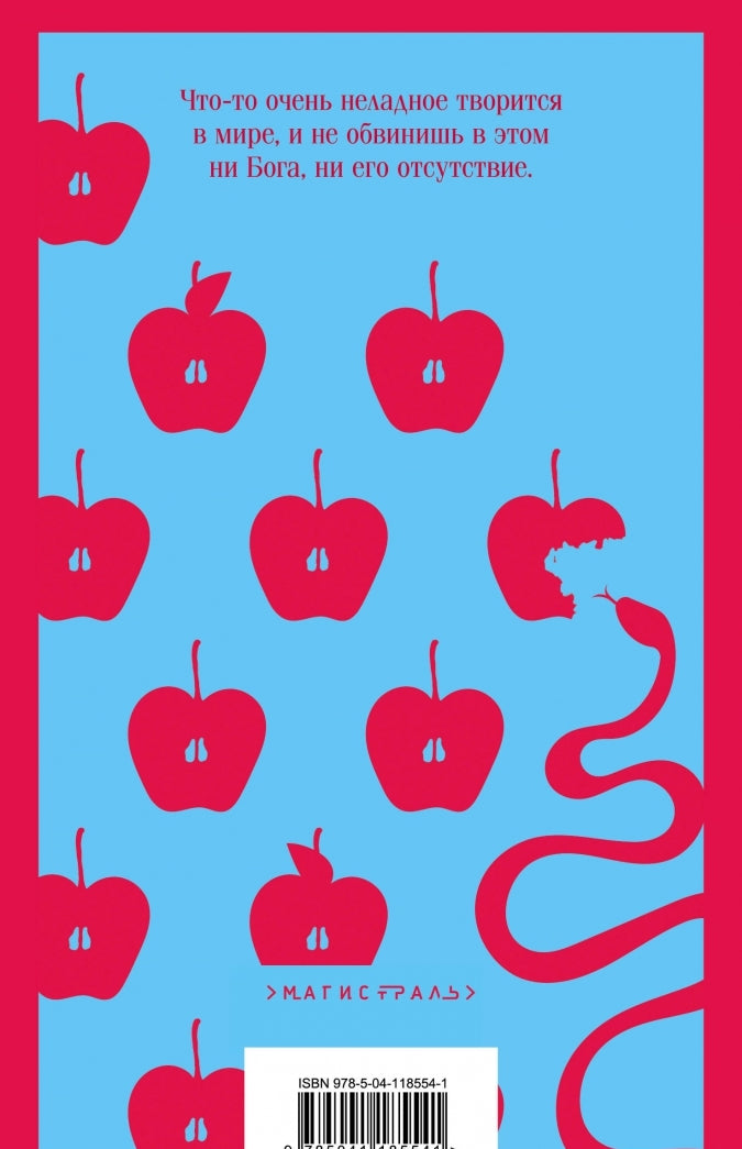 Фотография книги "Амстердам"