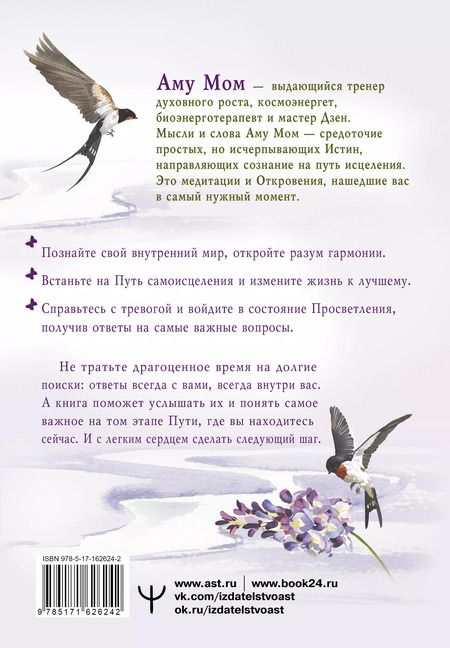 Фотография книги "Аму Мом: Энергии Дзен для самоисцеления, созидания и равновесия. Путь в Страну Мудрости"