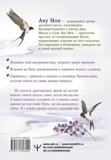 Фотография книги "Аму Мом: Энергии Дзен для самоисцеления, созидания и равновесия. Путь в Страну Мудрости"