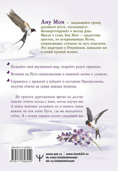 Фотография книги "Аму Мом: Энергии Дзен для самоисцеления, созидания и равновесия. Путь в Страну Мудрости"