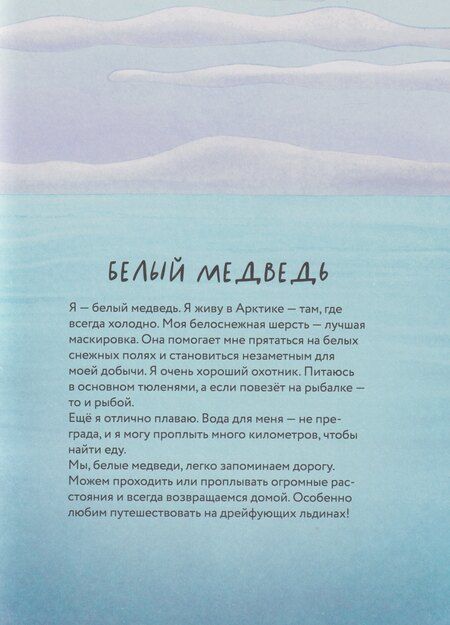 Фотография книги "Анастасия Андреевна: Косолапые медведи"