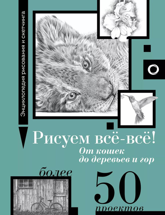 Обложка книги "Анастасия Чудова: Рисуем всё-всё! От кошек до деревьев и гор. Более 50 проектов"