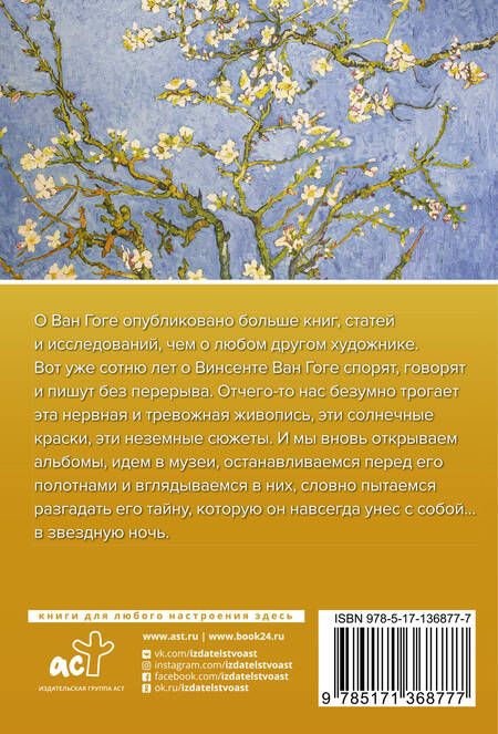 Фотография книги "Анастасия Чудова: Ван Гог"