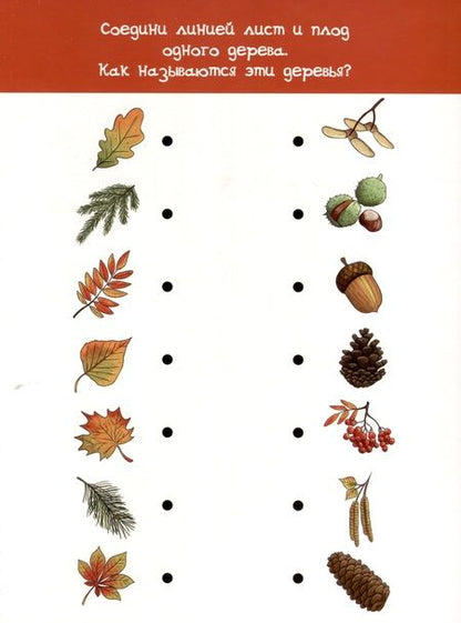 Фотография книги "Анастасия Чупрунова: Пиши-стирай. 4-5 лет"