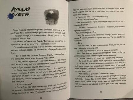 Фотография книги "Анастасия Коваленкова: Мышонок, который Там"
