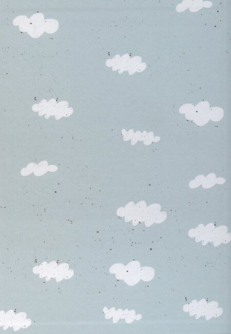 Фотография книги "Анастасия Лютикова: Бабушка-пират"